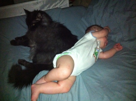 Patience and understanding brought baby Joseph and Miguel, the cat, together.